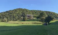 IMG_20230916_091505.jpg