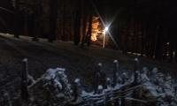 IMG_20231125_173737.jpg