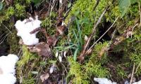 20180217_105424.jpg
