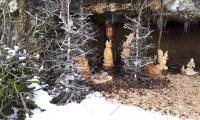 20180217_105529.jpg