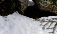 20180217_112321.jpg