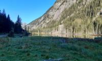 20200905_084305.jpg