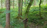 20200606_114403.jpg