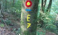 20210814_091607.jpg